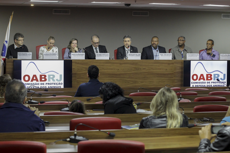 Foto: Bruno Marins   |   Clique para ampliar