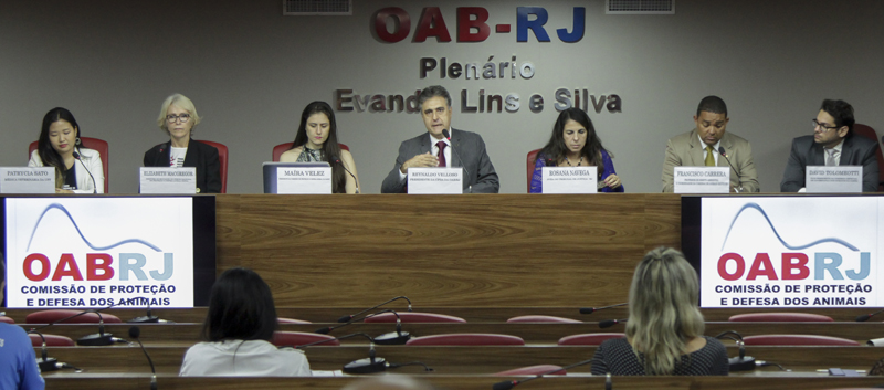 Foto: Bruno Marins  |   Clique para ampliar