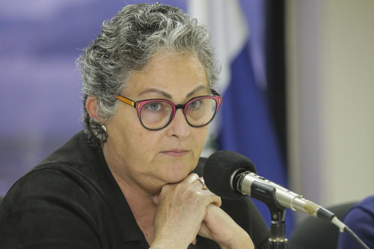 Silvana do Monte Moreira alerta para adoções necessárias feitas por ansiedade: "há mais risco de devolução" / Foto: Arquivo - Lula Aparício